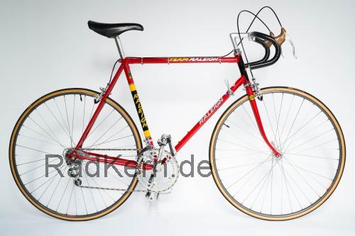 Raleigh Team  technische daten 